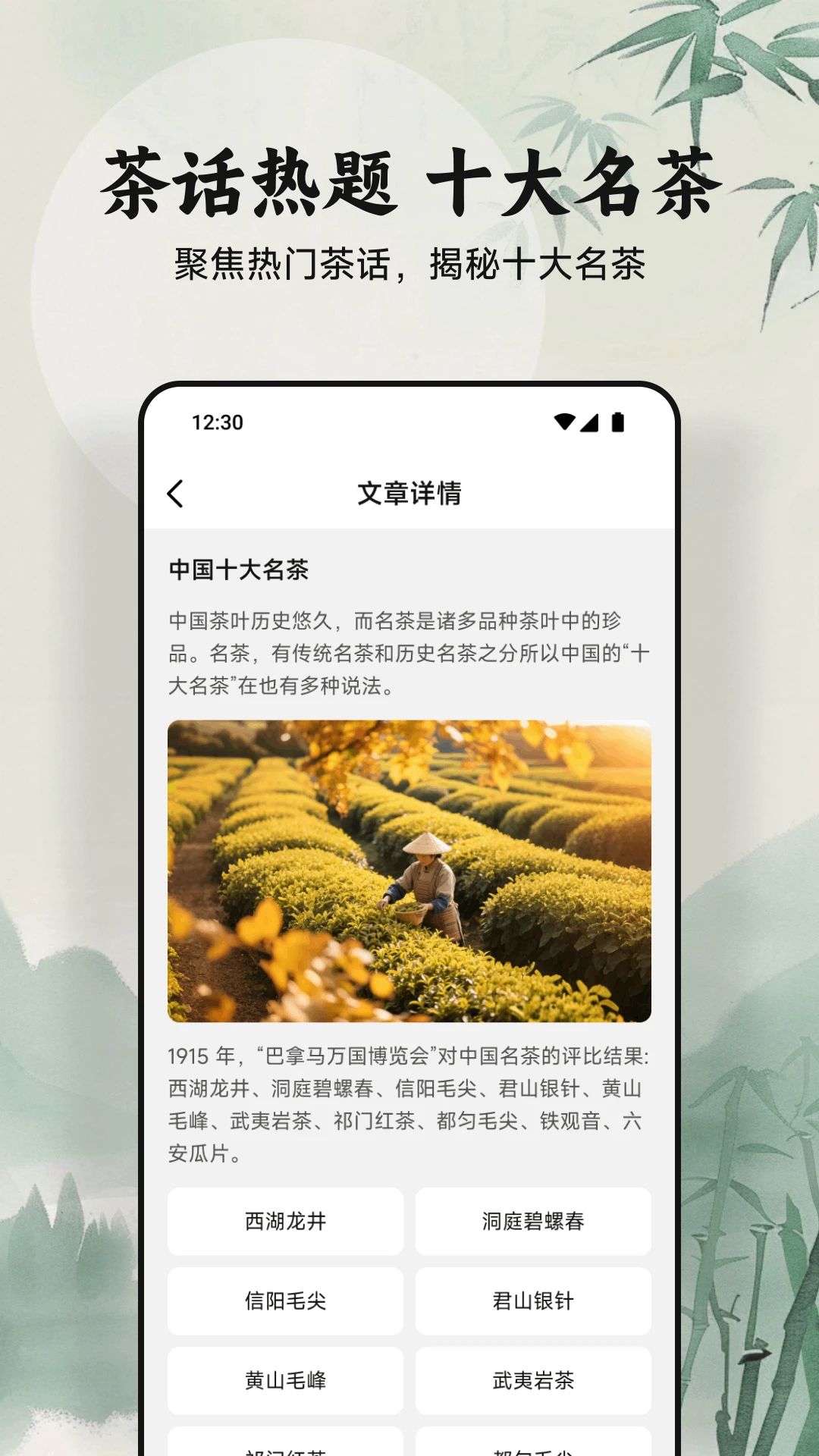 绿茶app官方正版截图4
