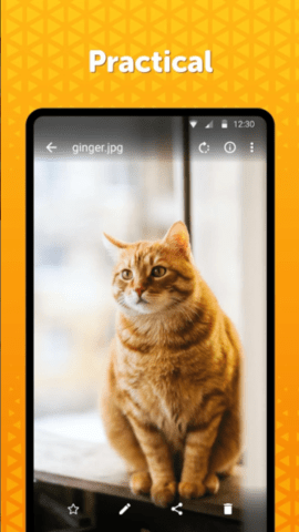 Simple Gallery中文版截图4