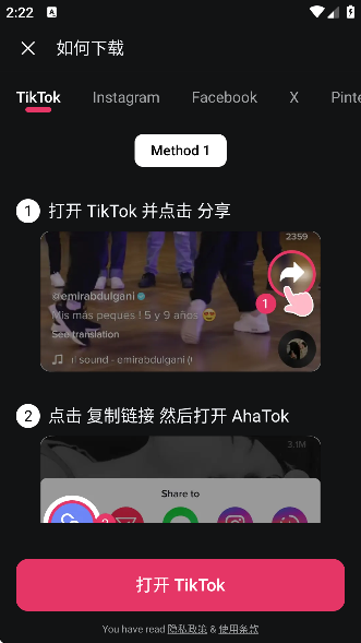 Tk下载器 Snaptik(AhaTok Downloader)截图3