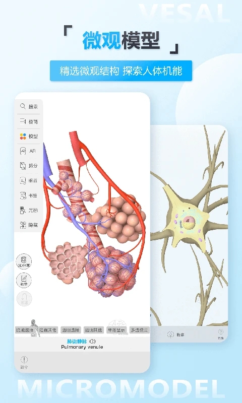 维萨里3D解剖免费版 V5.8.5安卓版