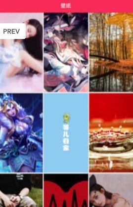 美美图片APP(海量美女图片壁纸) 安卓版V4.83.7