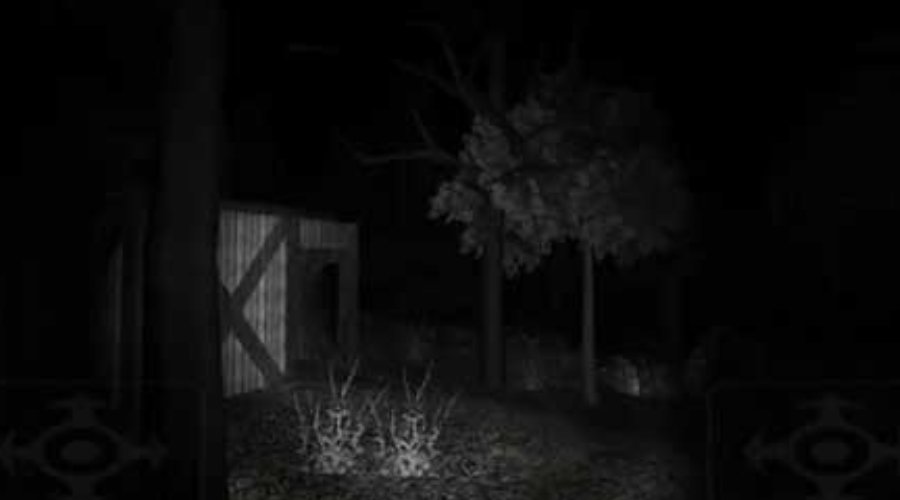 恐怖森林免费完整版(Forest)