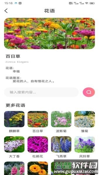 优料精选官方正版app截图2