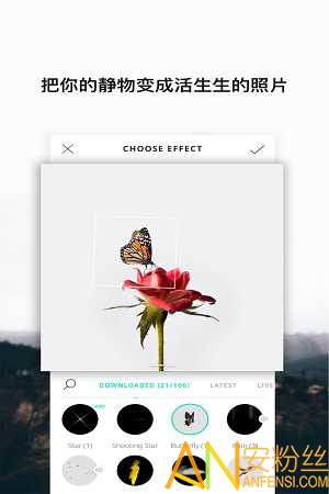 vimage直装高级版apk截图3