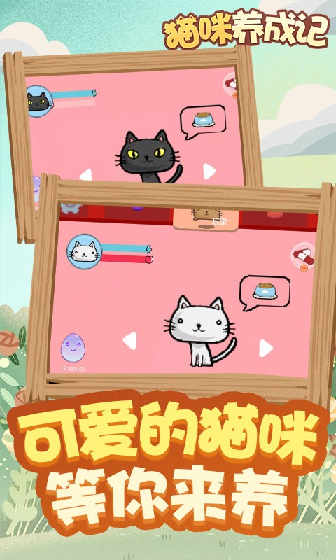猫咪养成记游戏截图1
