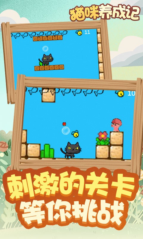 猫咪养成记游戏截图3