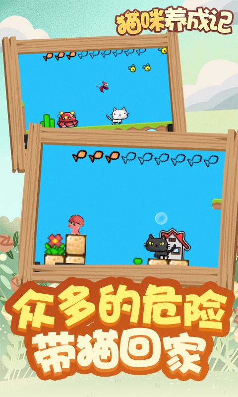 猫咪养成记游戏截图4
