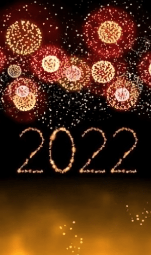 新年烟花模拟器2024最新版截图1