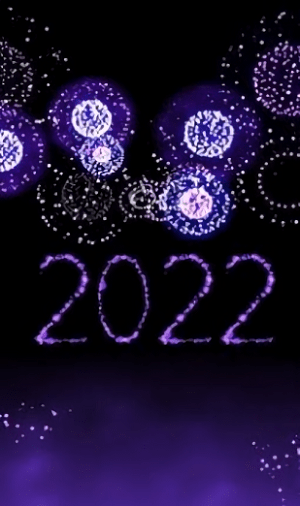 新年烟花模拟器2024最新版截图3