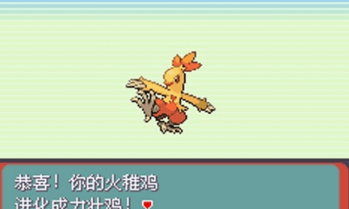口袋妖怪绿宝石典藏版金手指截图2