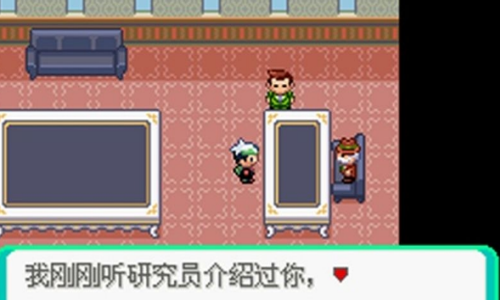 口袋妖怪绿宝石典藏版金手指截图4