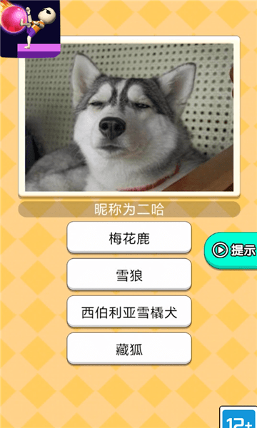 魔音球球小游戏截图4