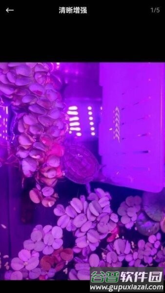 芯图相册手机版截图4