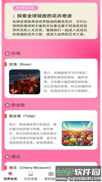 花语世界红包版截图1