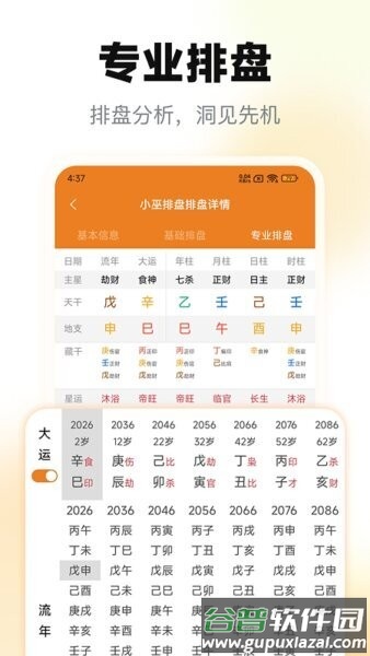 小巫排盘免费版截图2