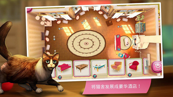 猫舍最新版截图2