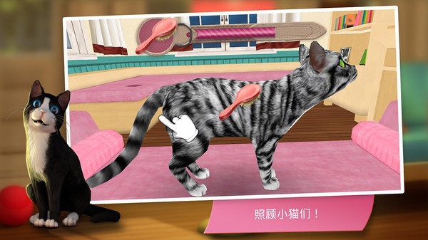 猫舍最新版截图3