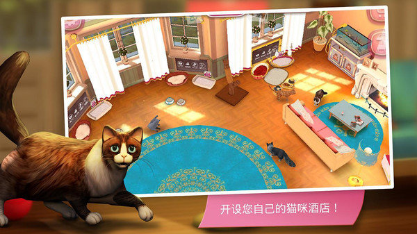 猫舍最新版截图4