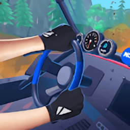第一人称拉力赛车中文版v0.1.0
