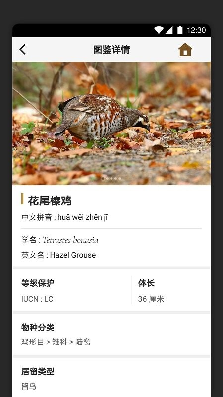 识鸟家app官方版截图2