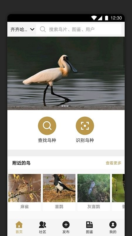 识鸟家app官方版截图5