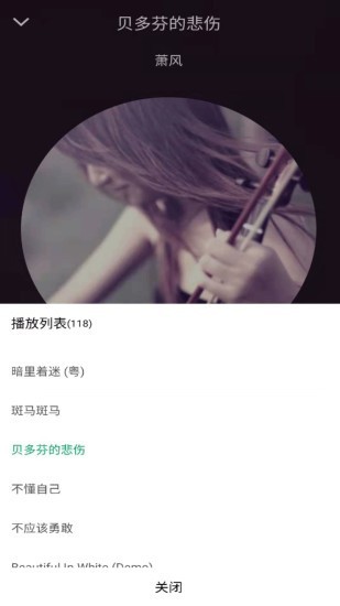 至简音乐播放器官方版截图3