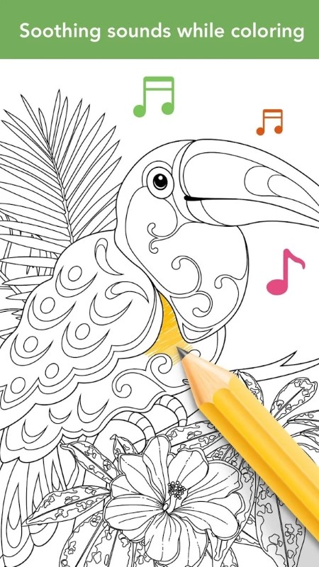 colorfit手机版截图1