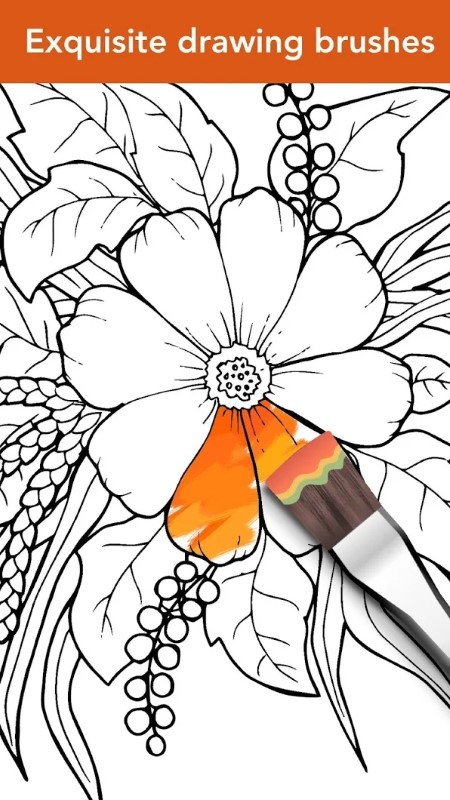 colorfit手机版截图2
