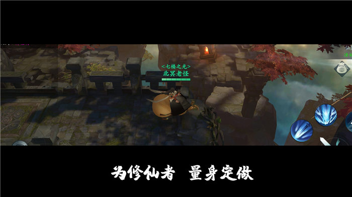 渡劫飞升手机版截图1