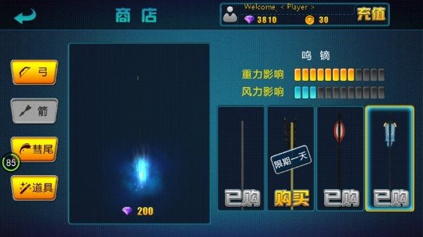 射箭达人2游戏截图2