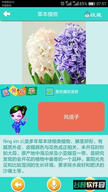 看图识花大全截图2