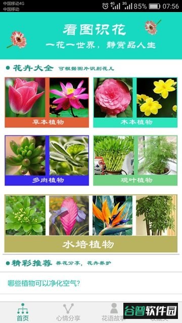 看图识花大全截图3