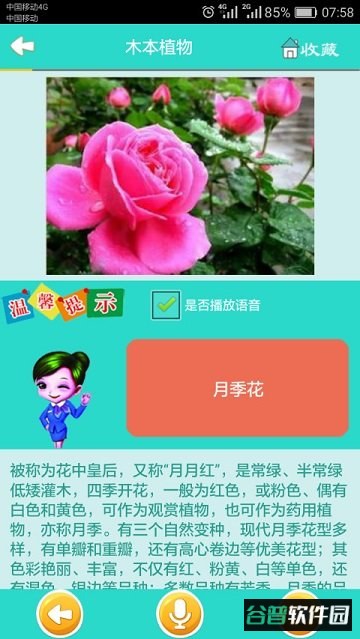 看图识花大全截图4