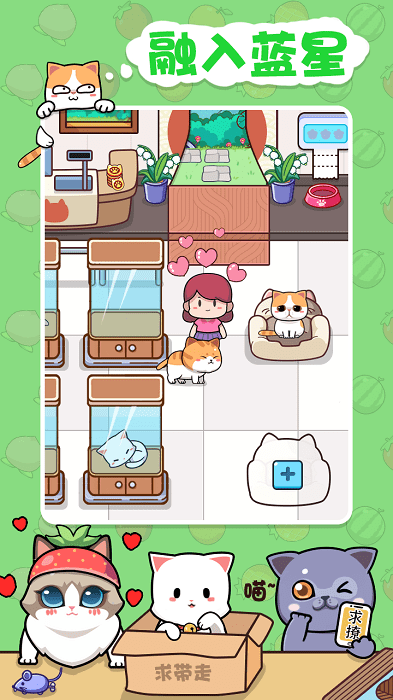 蓝星猫猫教游戏截图3