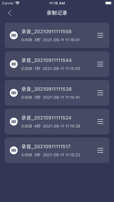 轻简录音lite app截图2