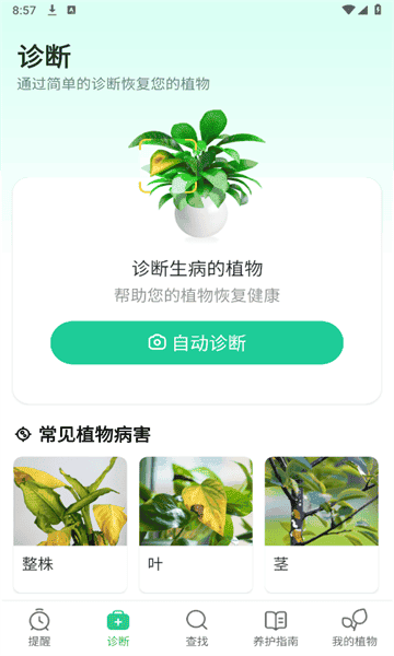 plant parent 植物养护app截图1