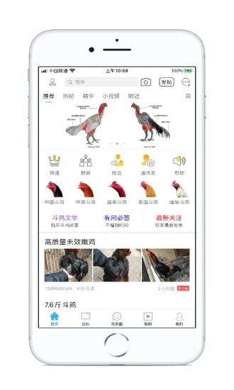 中国斗鸡论坛官方版截图1