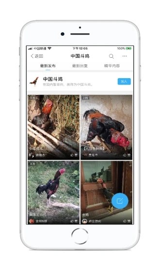 中国斗鸡论坛官方版截图2
