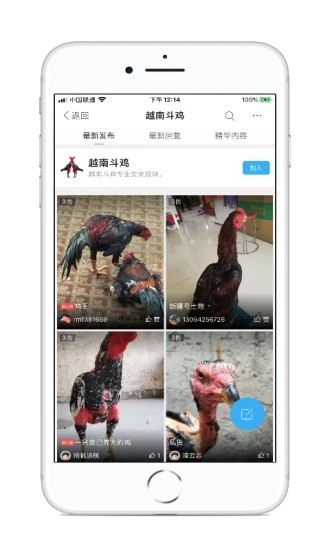 中国斗鸡论坛官方版截图3