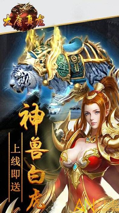 大唐真龙手游截图2