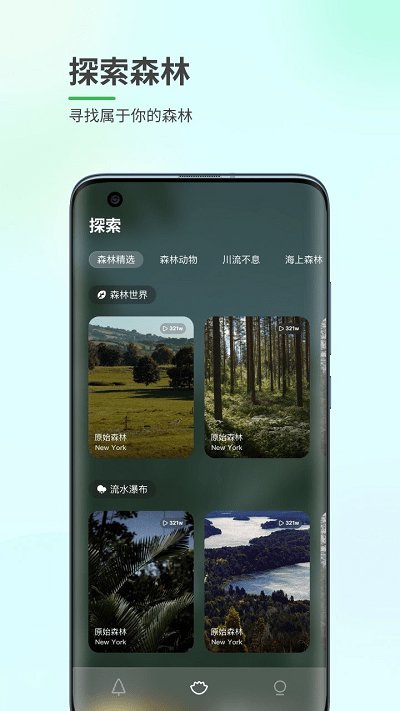 森林白噪音app截图3