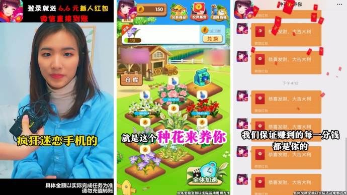 种花来养你游戏截图4