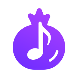 石榴音乐appv1.0.2