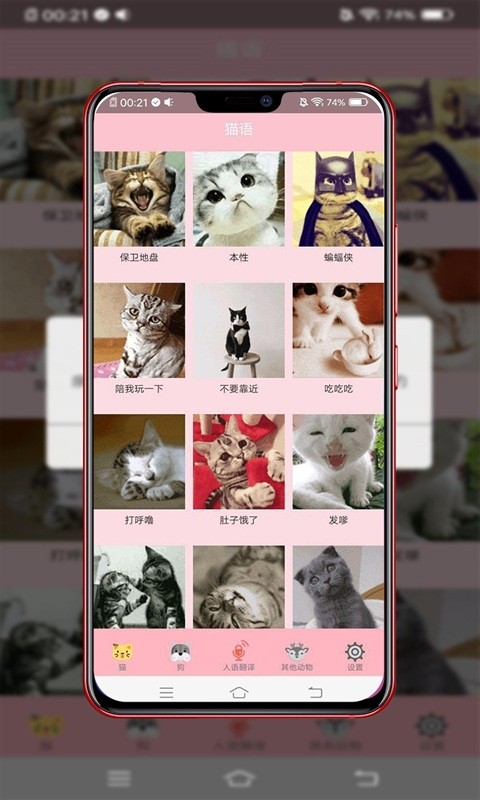 动物智能翻译免费版截图1
