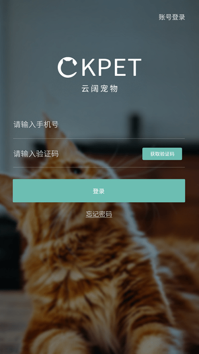 云阔宠物手机版截图1
