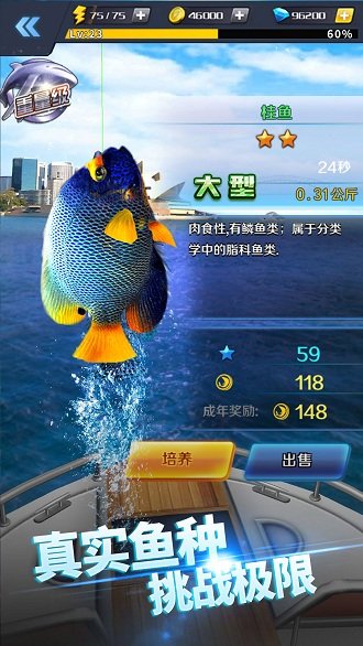啪啪钓鱼修改版