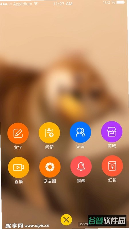 亲吻猫咪截图1
