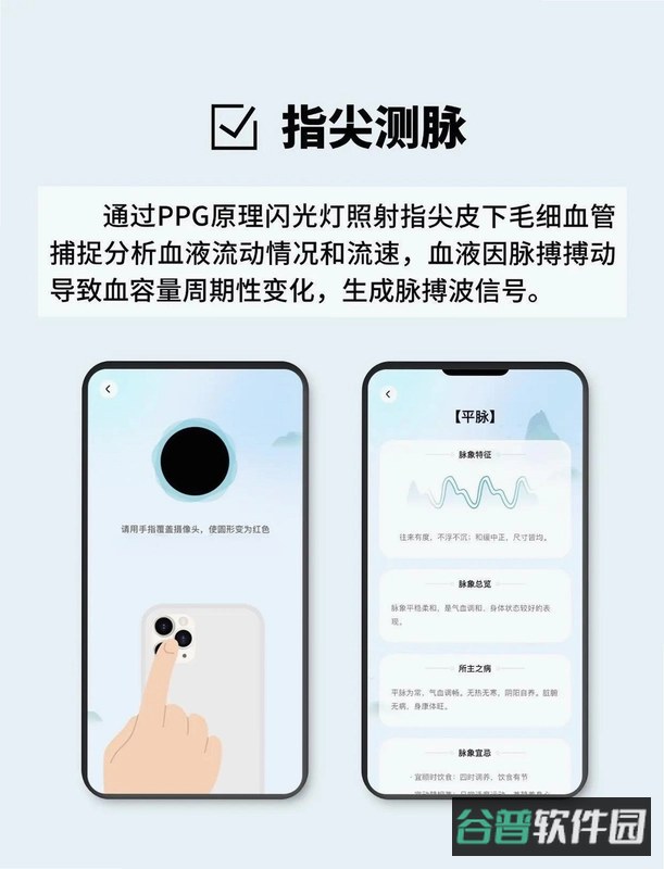识脉