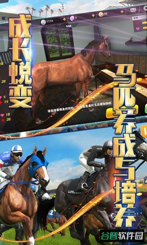 相马大师小米版截图2