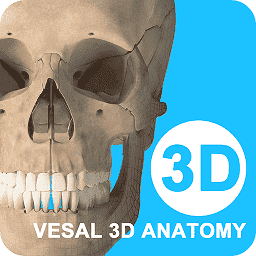 维萨里3d解剖v7.1.2